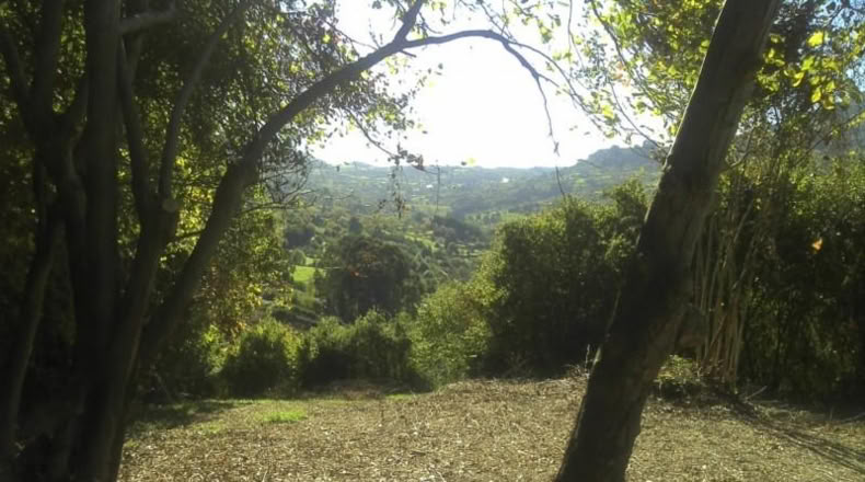 Asturias - Gijón - 2360m2