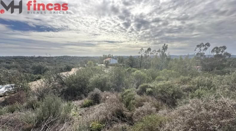 Sevilla - El Ronquillo - 1000m2
