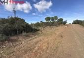 Terreny no urbanitzable en venda a la España, El Ronquillo, ref.: TR276740 foto