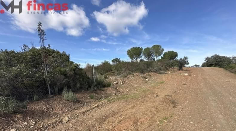 Sevilla - El Ronquillo - 1000m2
