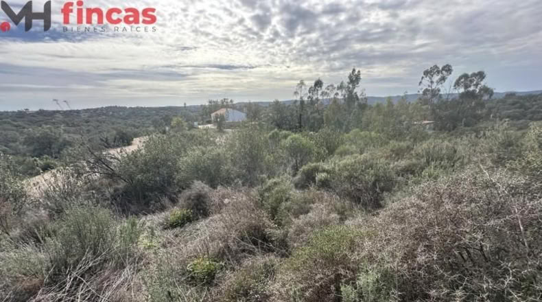 Sevilla - El Ronquillo - 1000m2