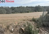Terreny no urbanitzable en venda a la España, El Ronquillo, ref.: TR276740 foto