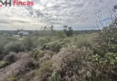 Terreny no urbanitzable en venda a la España, El Ronquillo, ref.: TR276740 foto
