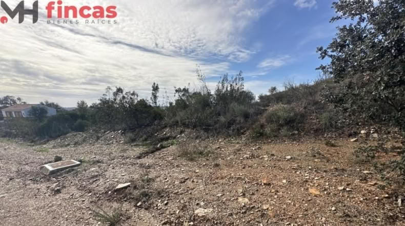 Sevilla - El Ronquillo - 1000m2