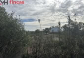 Terreny no urbanitzable en venda a la España, El Ronquillo, ref.: TR276740 foto