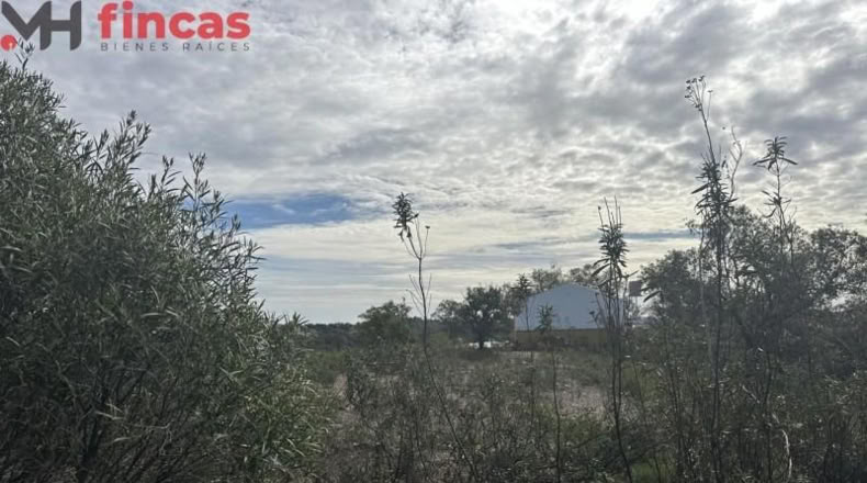 Sevilla - El Ronquillo - 1000m2