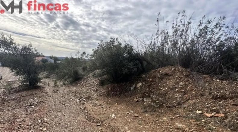 Sevilla - El Ronquillo - 1000m2