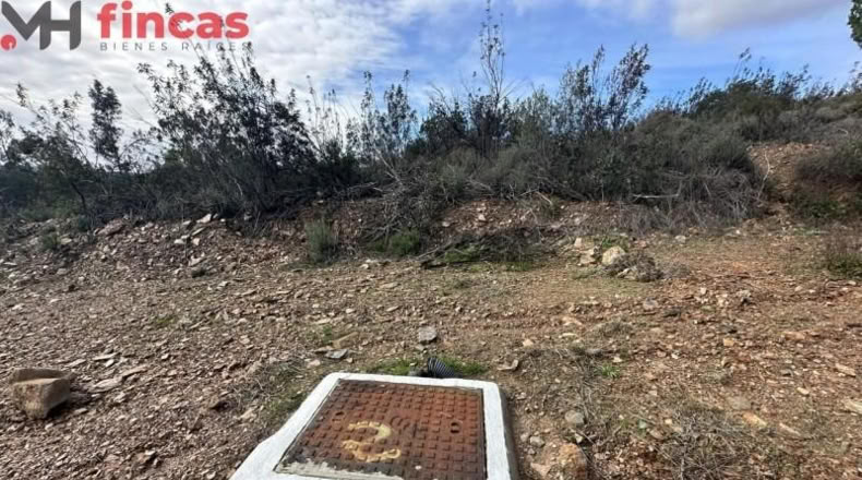 Sevilla - El Ronquillo - 1000m2