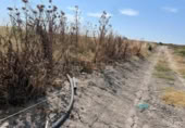 Terreny no urbanitzable en venda a la España, Sanlúcar de Barrameda, ref.: TR318172 foto