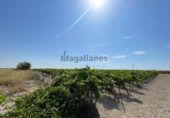 Terreny no urbanitzable en venda a la España, Sanlúcar de Barrameda, ref.: TR318172 foto