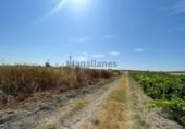Terreny no urbanitzable en venda a la España, Sanlúcar de Barrameda, ref.: TR318172 foto