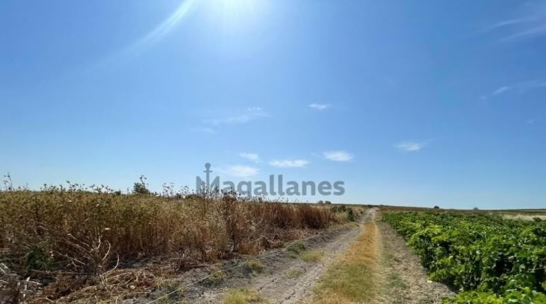Кадис - Sanlúcar de Barrameda - 2300m2