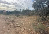 Terreny no urbanitzable en venda a la España, El Ronquillo, ref.: TR125316 foto