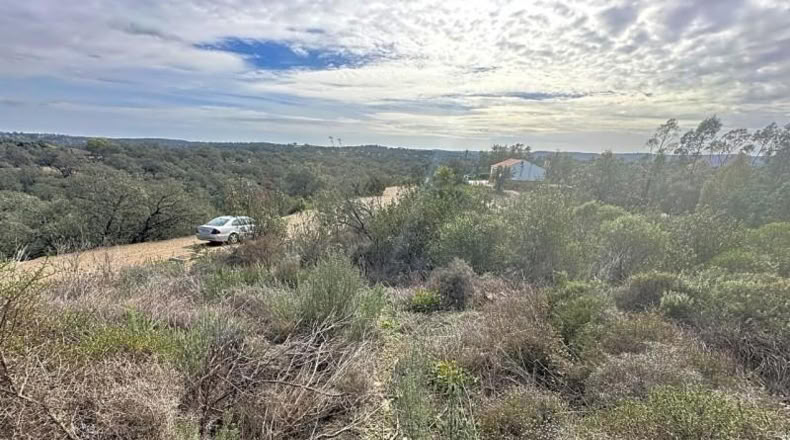 Sevilla - El Ronquillo - 1000m2