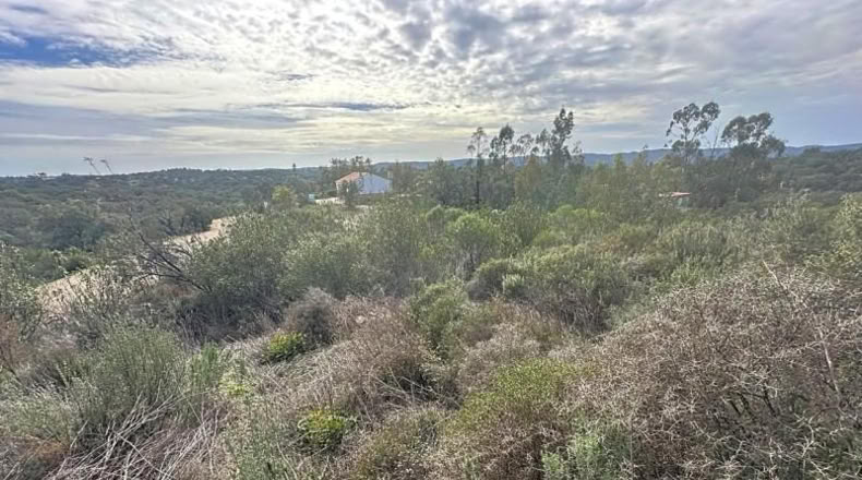 Sevilla - El Ronquillo - 1000m2