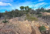 Terreny no urbanitzable en venda a la España, El Ronquillo, ref.: TR125316 foto