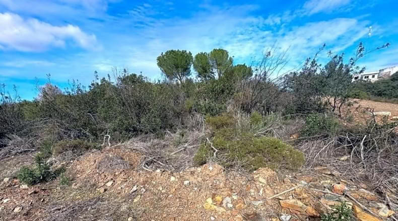 Sevilla - El Ronquillo - 1000m2