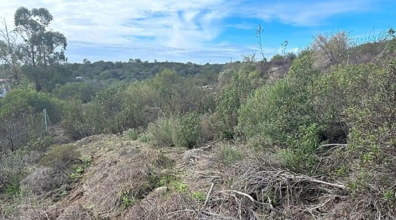 Sevilla - El Ronquillo - 1000m2