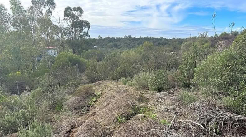 Sevilla - El Ronquillo - 1000m2