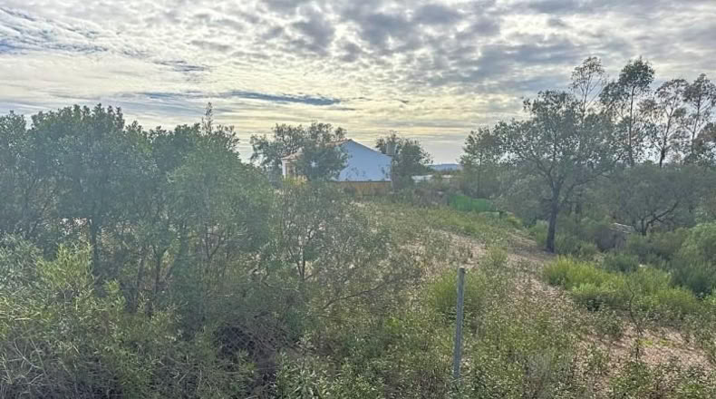 Sevilla - El Ronquillo - 1000m2
