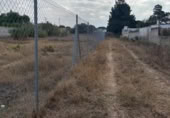 Terreny no urbanitzable en venda a la España, Chiclana de la Frontera, ref.: TR360048 foto