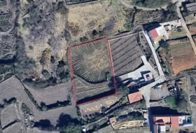 Los Realejos 2234&nbsp;m² 