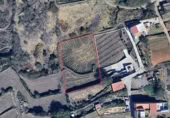 Terreno no urbanizable en venta en la España, Los Realejos, ref: TR365386 foto