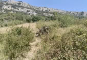 Terreno no urbanizable en venta en la España, Belascoáin, ref: TR366910 foto