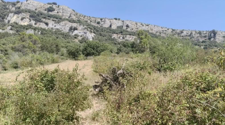 Navarra - Belascoáin - 1124m2