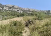 Terreno no urbanizable en venta en la España, Belascoáin, ref: TR366910 foto