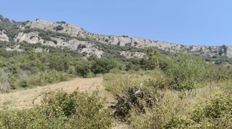 Navarra - Belascoáin - 1124m2