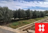 Parcela urbanizable en venta en la España, Moncada, ref: TR359459 foto