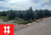 Parcela urbanizable en venta en la España, Moncada, ref: TR359459 foto