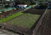 Terreno no urbanizable en venta en la España, Las Cabezas de San Juan, ref: TR123278 foto