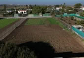 Terreno no urbanizable en venta en la España, Las Cabezas de San Juan, ref: TR123278 foto