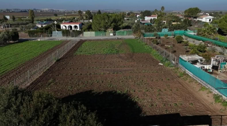 Seville - Las Cabezas de San Juan - 1050m2