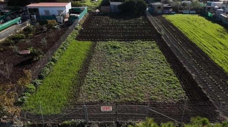 Seville - Las Cabezas de San Juan - 1050m2
