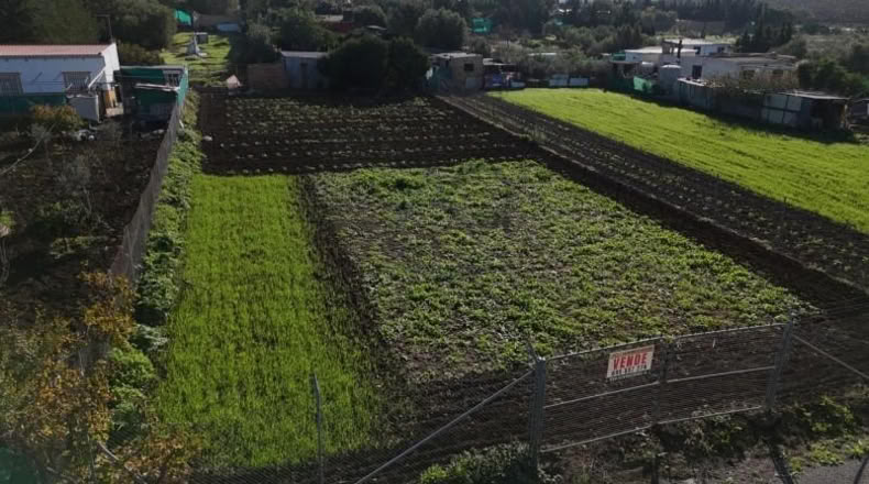Seville - Las Cabezas de San Juan - 1050m2