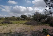 Chalet independiente con terreno en venta en la España, Santa Bàrbara, ref: TR316100 foto