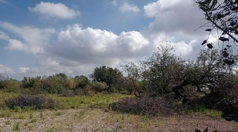 Tarragona - Santa Bàrbara - 7952m2