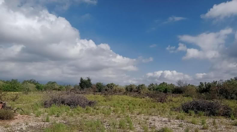 Tarragona - Santa Bàrbara - 7952m2