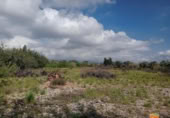 Chalet independiente con terreno en venta en la España, Santa Bàrbara, ref: TR316100 foto