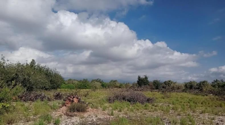 Tarragona - Santa Bàrbara - 7952m2
