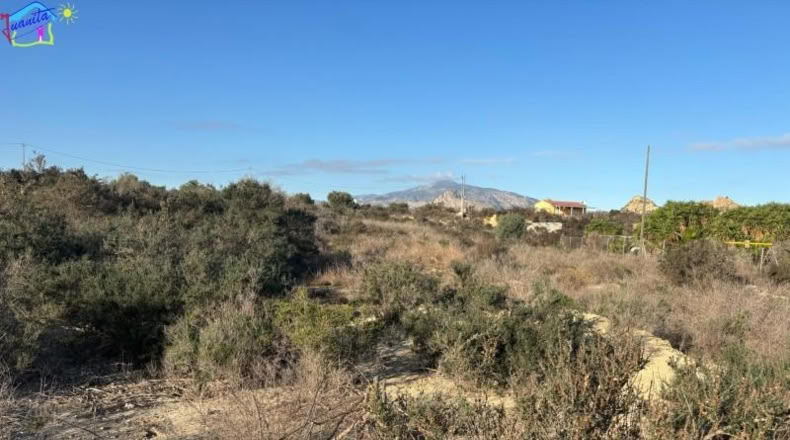 Murcia - Archena - 1657m2