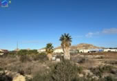 Non-developable land for sale on España, Archena, ref: TR219858 photo