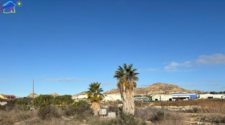 Murcia - Archena - 1657m2