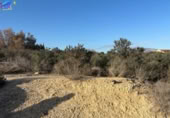 Non-developable land for sale on España, Archena, ref: TR219858 photo