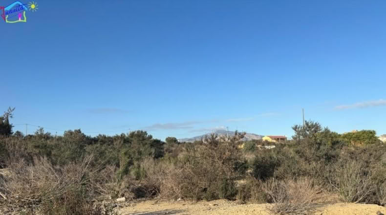 Murcia - Archena - 1657m2