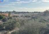 Non-developable land for sale on España, Archena, ref: TR219858 photo