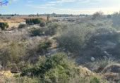 Non-developable land for sale on España, Archena, ref: TR219858 photo